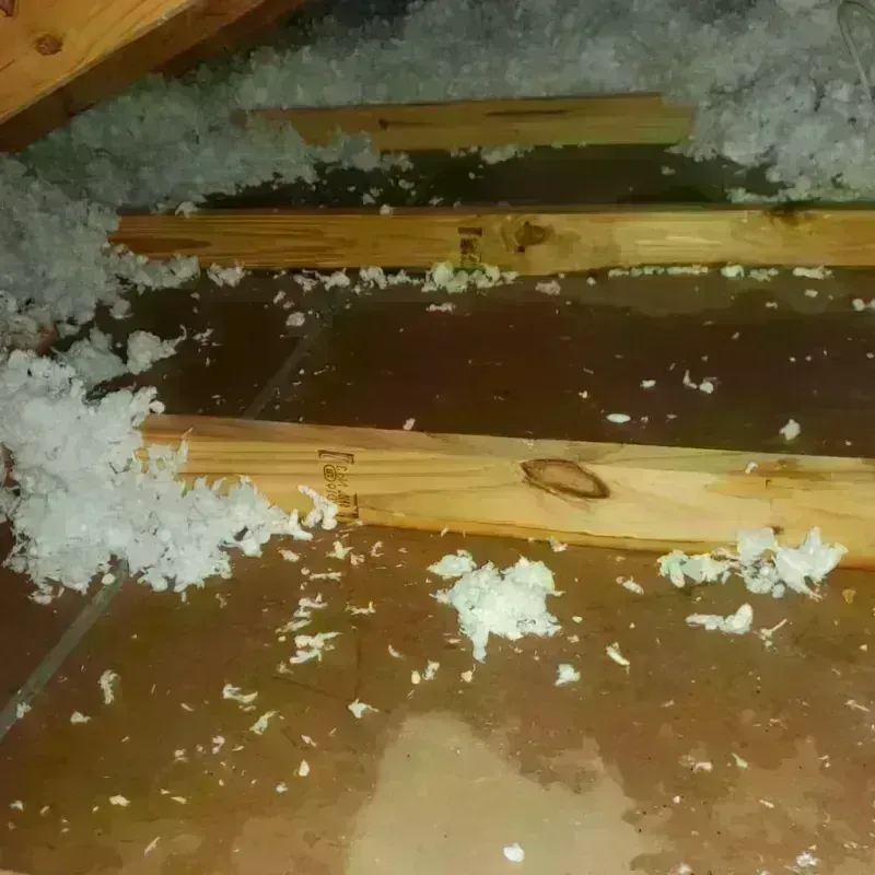 Attic Water Damage in Clinton, IA