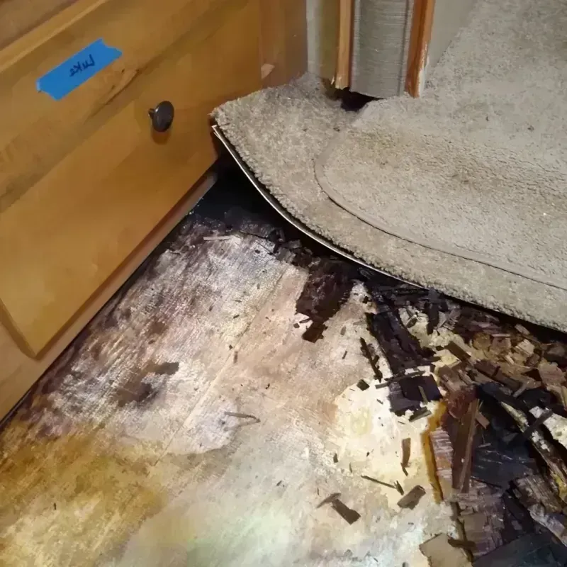 Best Wood Floor Water Damage Service in Clinton, IA